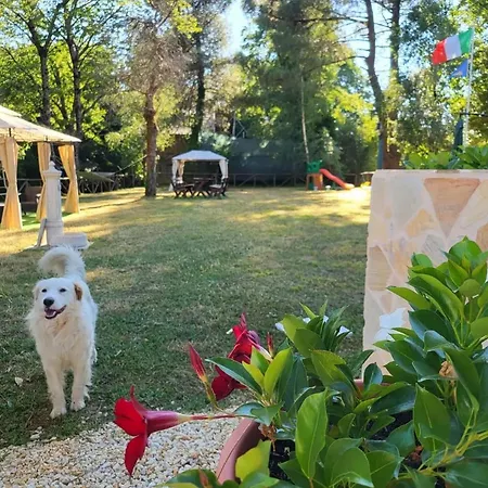 Guest house Casale Trainaro Simbario